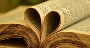 Fiera del libro usato e dell'antiquariato a Lido di Camaiore