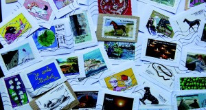 Convegno filatelia e numismatica Centro Roger Scandicci sabato 20 febbraio