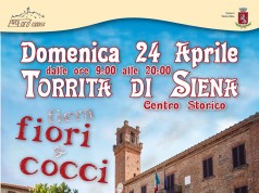 Fiera dei fiori e dei cocci a Torrita Fiera dei fiori e dei cocci Torrita di Siena 24 aprile 2016